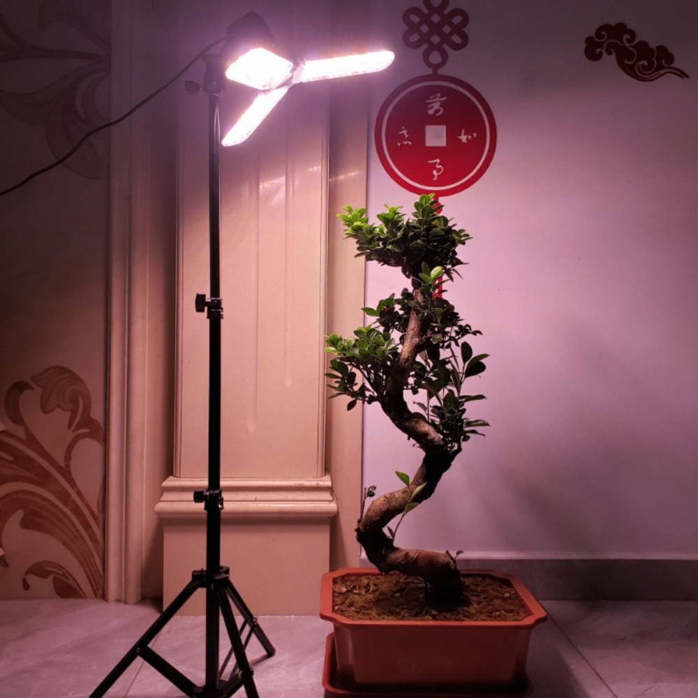 Soporte de bombilla de 2M, enc - Photography Umbrella reseña y precio